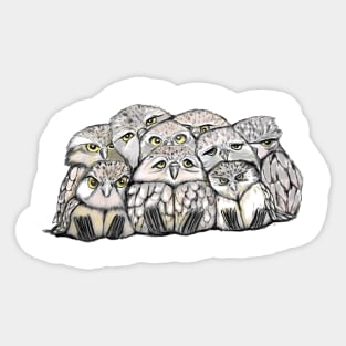 Baby Owl Pile Sticker